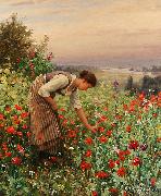 Girl Picking Poppies, Daniel Ridgeway Knight